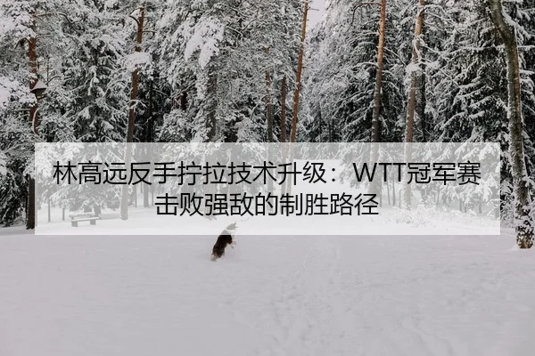 林高远反手拧拉技术升级：WTT冠军赛击败强敌的制胜路径